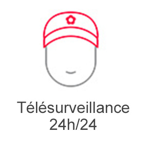Télésurveillance 24h/24