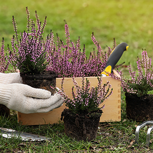 Préparer mon jardin fleuri pour le printemps