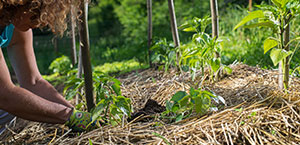 Quel type de chauffage choisir ?