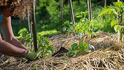 Quel type de chauffage choisir ?