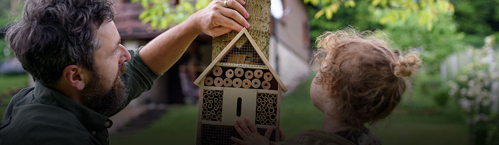 M'occuper de mes animaux