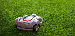 Quelle tondeuse choisir ?