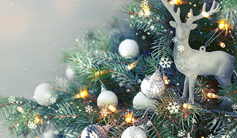 Illuminez votre Noël