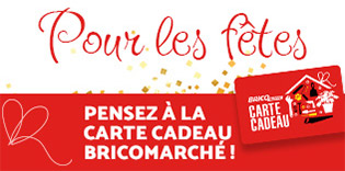 Carte cadeau Bricomarché