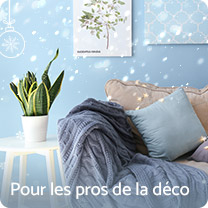 Pour les pros de la déco