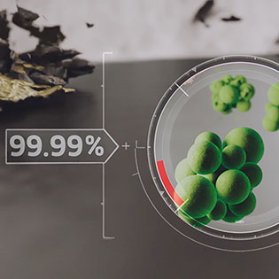 La vapeur élimine 99.99 % de toutes les bactéries*