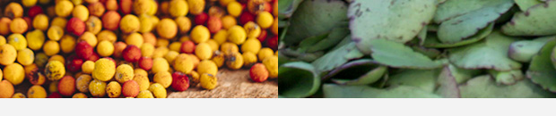 Je suis le beauty trip