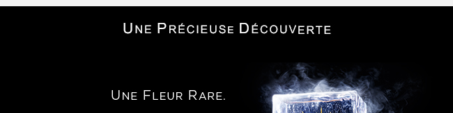 Découvrez Clarins Precious